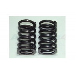 Ressort de soupape V8