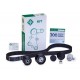 Courroie accessoire 3.0 SDV6