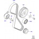 Courroie OEM distribution Freelander 2