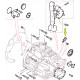 Interrupteur OEM phare de recul Freelander 1 TD4
